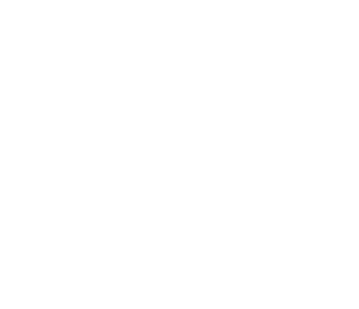 Concardis