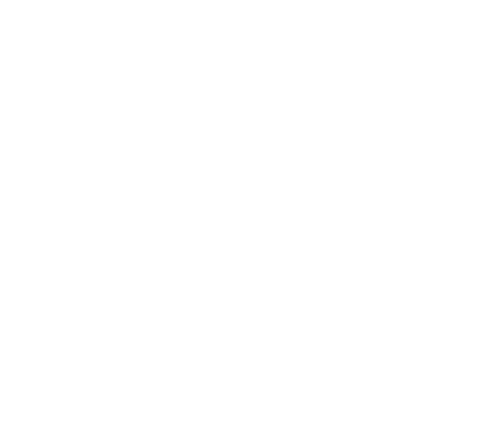 Sprengnetter